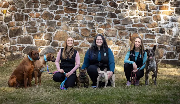 United Vision Pet Partners Picture 6