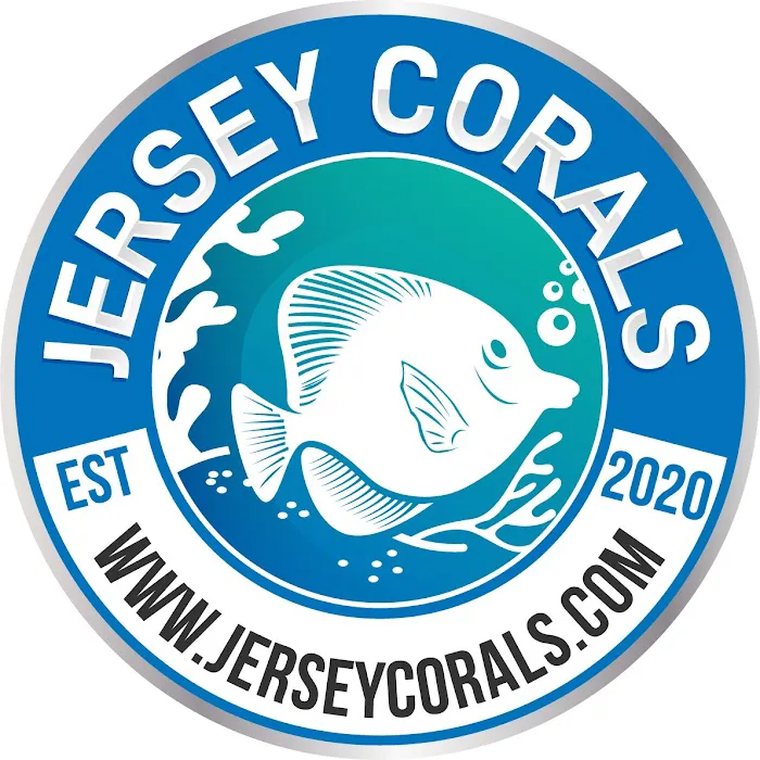 Jersey Corals Picture 2