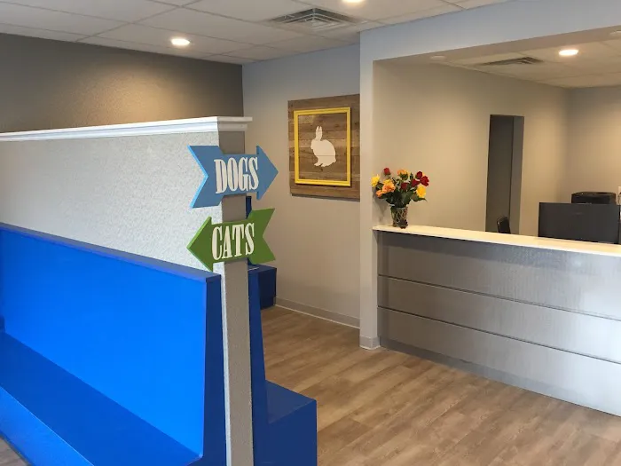 Newtown Square Veterinary Hospital Picture 3