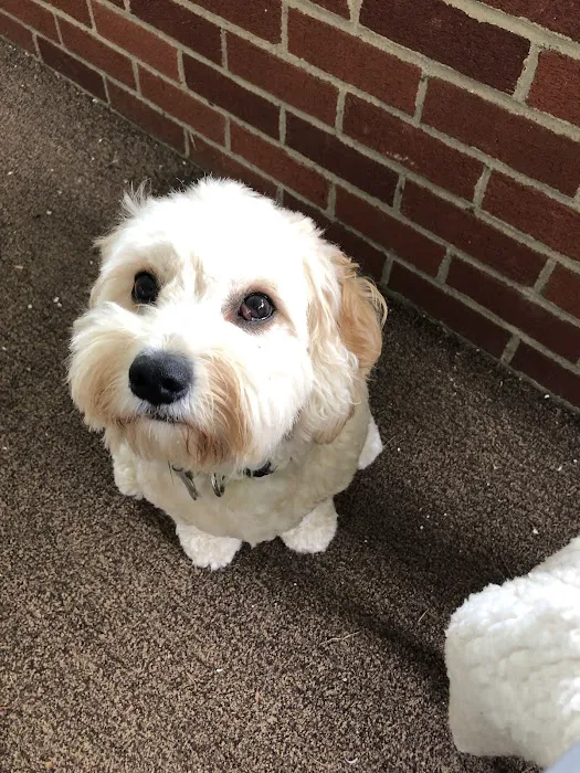 Newtown Square Veterinary Hospital Picture 7