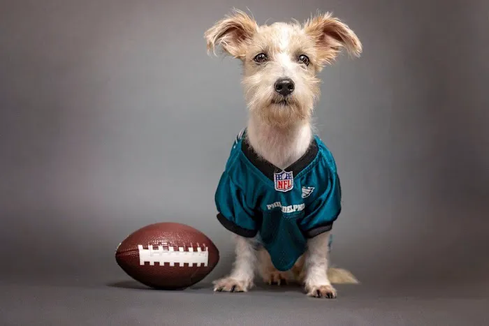 Newtown Square Veterinary Hospital Picture 9