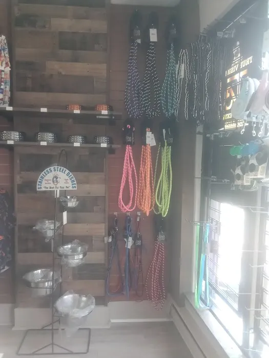 Bully Stop & Shop Pet supply Picture 1