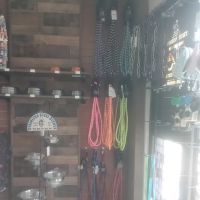 Bully Stop & Shop Pet supply ico
