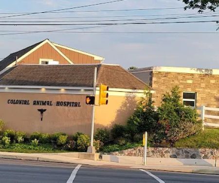 Colonial Animal Hospital