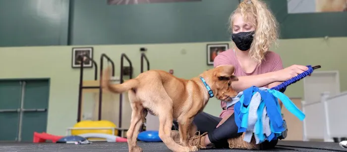 VCA Wellington Animal Hospital Picture 5