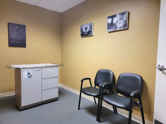 VCA Wellington Animal Hospital Picture 2