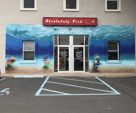 Absolutely Fish