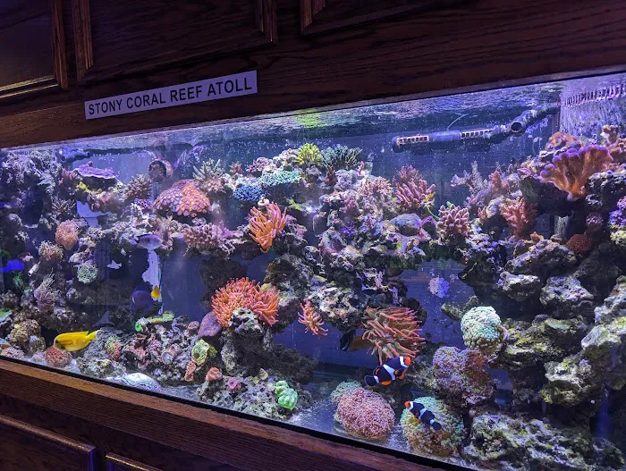 Absolutely Fish Picture 3