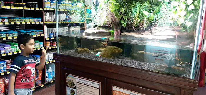 Absolutely Fish Picture 4