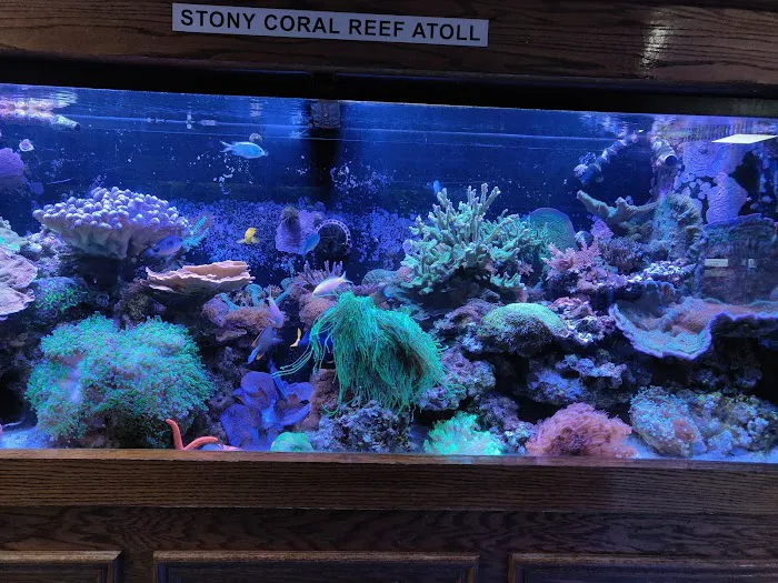 Absolutely Fish Picture 7