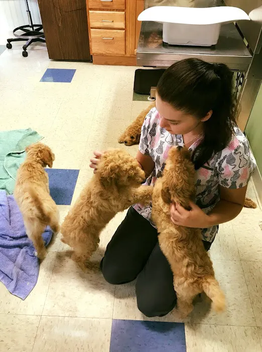 Villanova Veterinary Hospital Picture 10