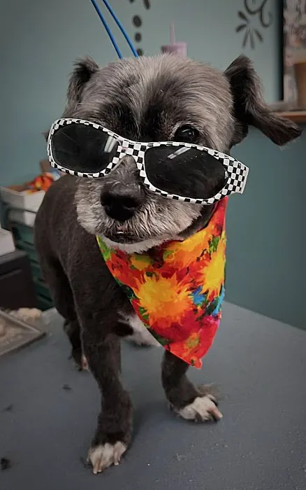 Family Pet Clinic Feasterville Picture 6