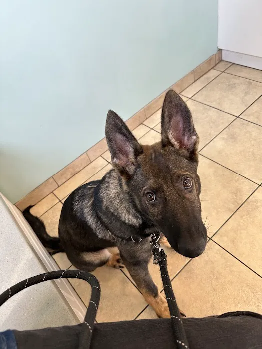 Family Pet Clinic Feasterville Picture 8