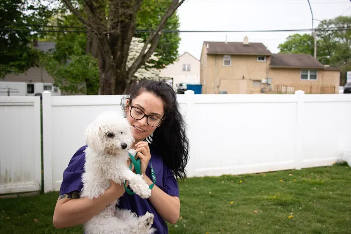 Family Pet Clinic Feasterville Picture 10