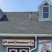 Jenny and Moongchy ico