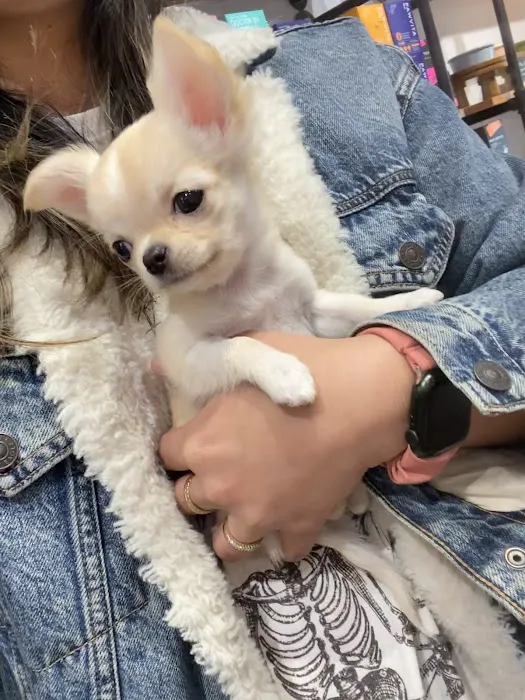 Jenny and Moongchy Picture 2