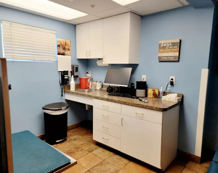 VCA Neshaminy Animal Hospital Picture 5