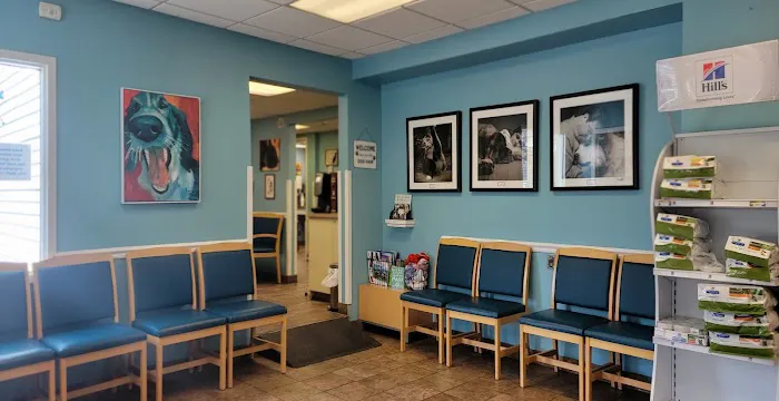 VCA Neshaminy Animal Hospital Picture 10