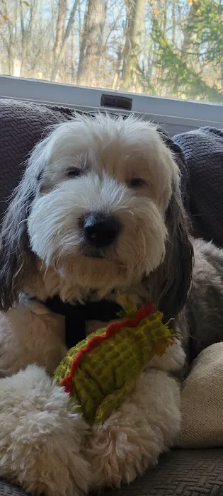 Petco Picture 4