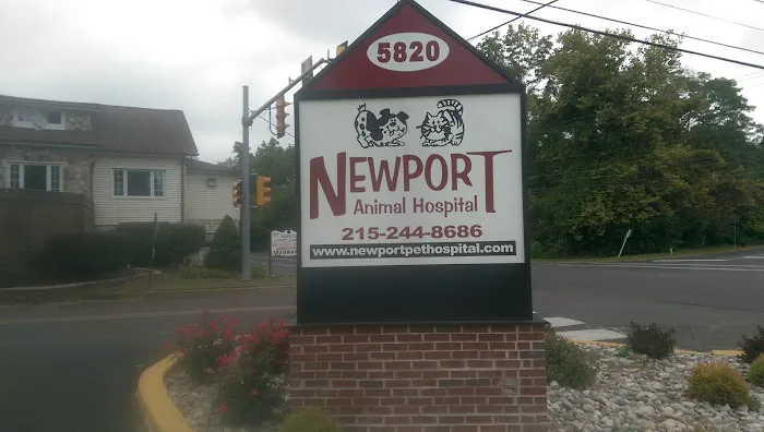 Newport Animal Hospital Picture 3