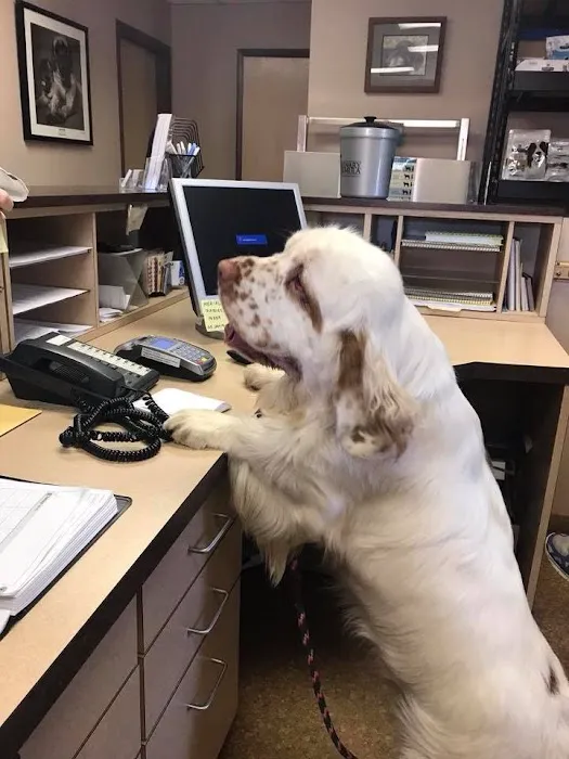 Buck Road Animal Hospital Picture 4
