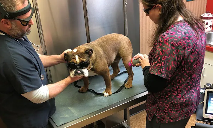Buck Road Animal Hospital Picture 6