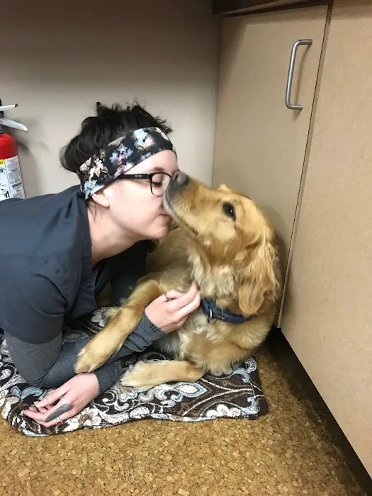 Buck Road Animal Hospital Picture 7
