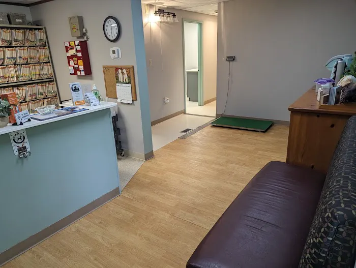 Buxmont Veterinary Hospital Picture 3