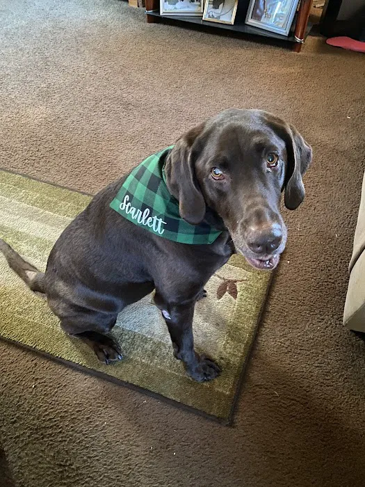 Buxmont Veterinary Hospital Picture 6