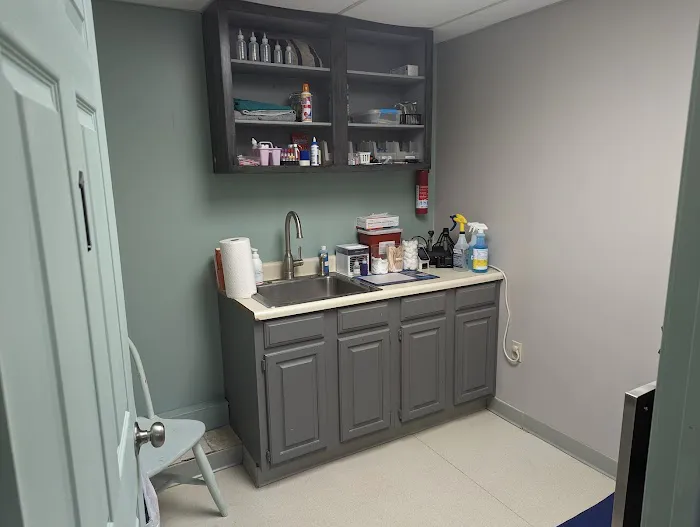 Buxmont Veterinary Hospital Picture 5
