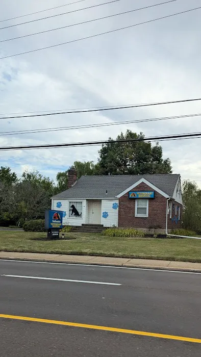 Southampton Veterinary Hospital Picture 2
