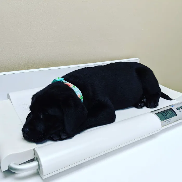 Southampton Veterinary Hospital Picture 8