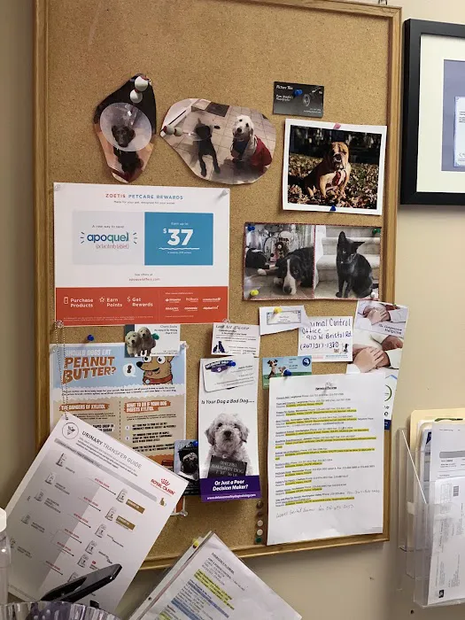 Southampton Veterinary Hospital Picture 10