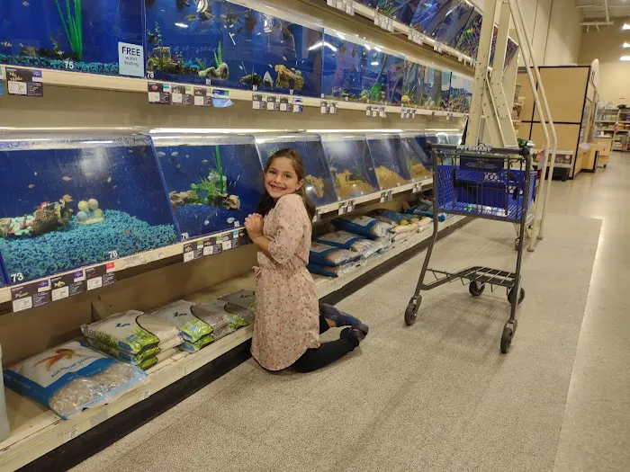 Petco Picture 2