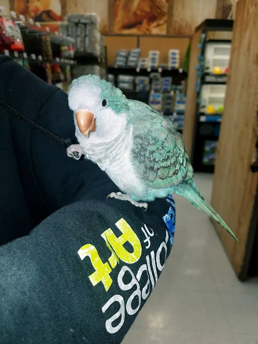 Petco Picture 7