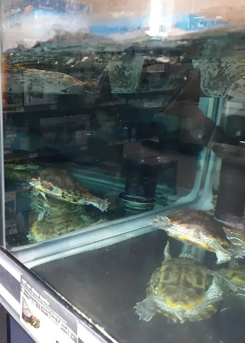 Petco Picture 6
