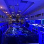 Advanced Marine Aquatics