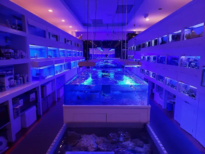 Advanced Marine Aquatics Picture 8