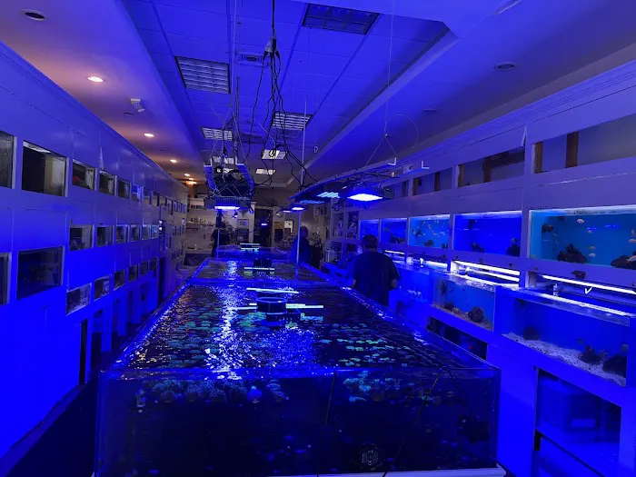 Advanced Marine Aquatics Picture 4