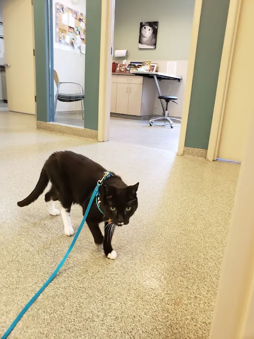 BluePearl Pet Hospital Picture 1