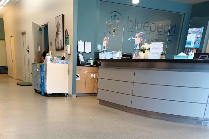BluePearl Pet Hospital Picture 2