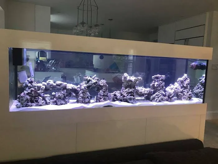 Pristine Marine Aquariums Picture 10