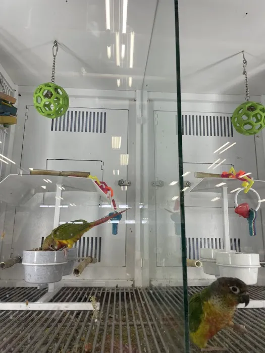 Petco Picture 1