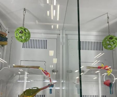 Petco