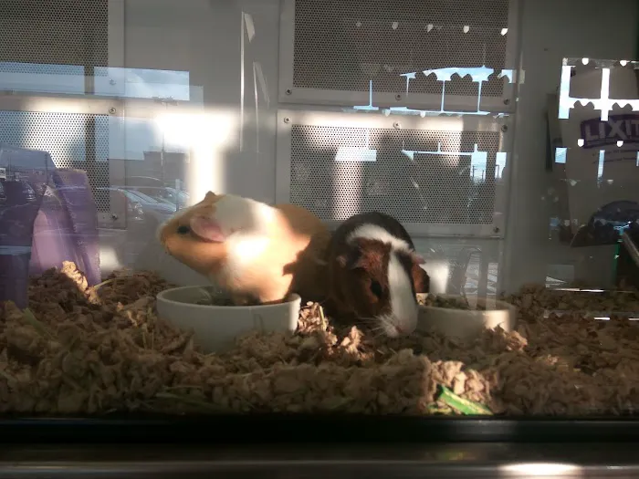 Petco Picture 6