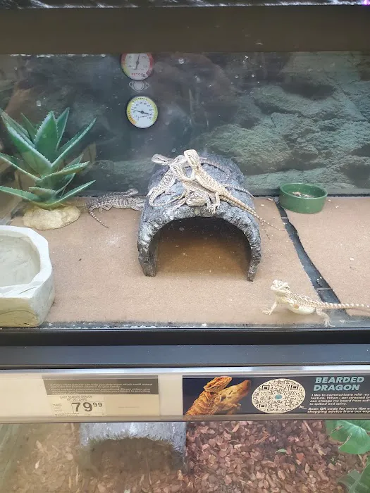 Petco Picture 7