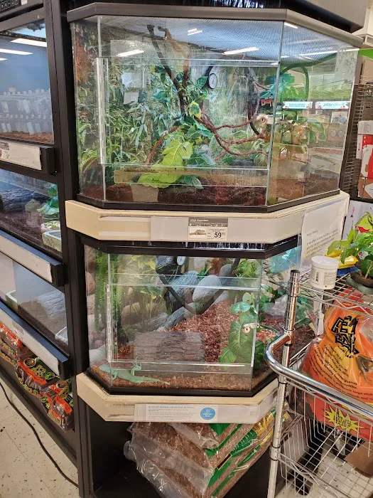 Petco Picture 10