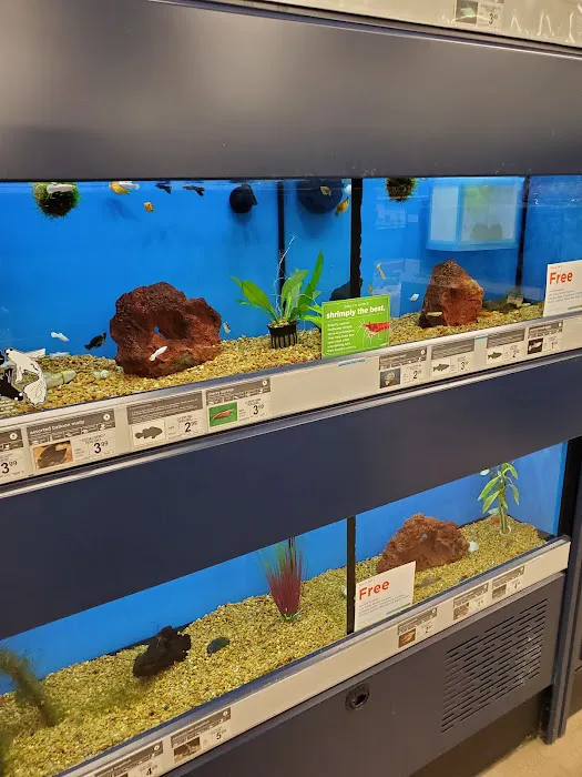 Petco Picture 9