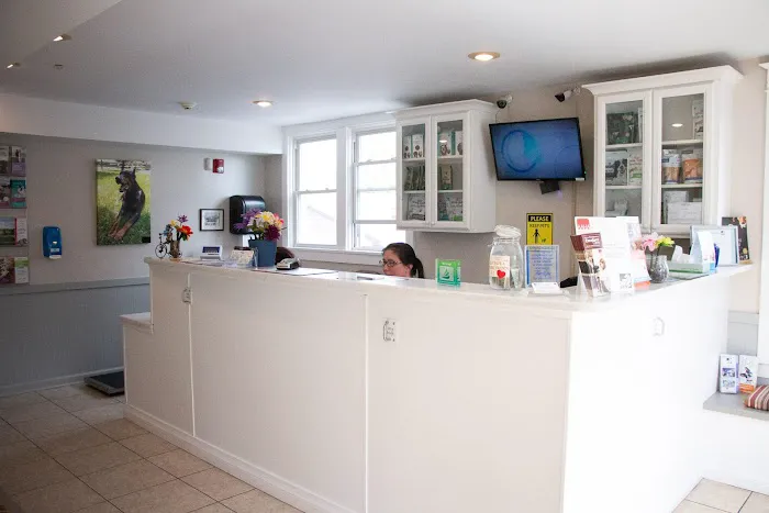 Family Pet Clinic Southampton Picture 8