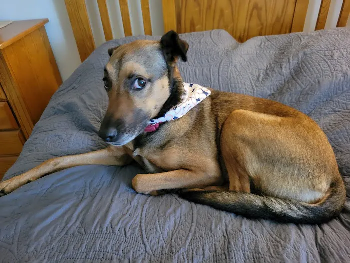Creek's Edge Animal Hospital Picture 5